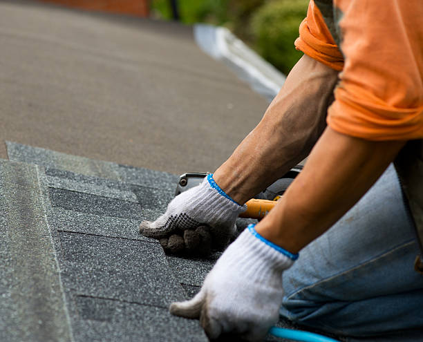 Best Roof Gutter Cleaning  in Upper Greenwood Lake, NJ